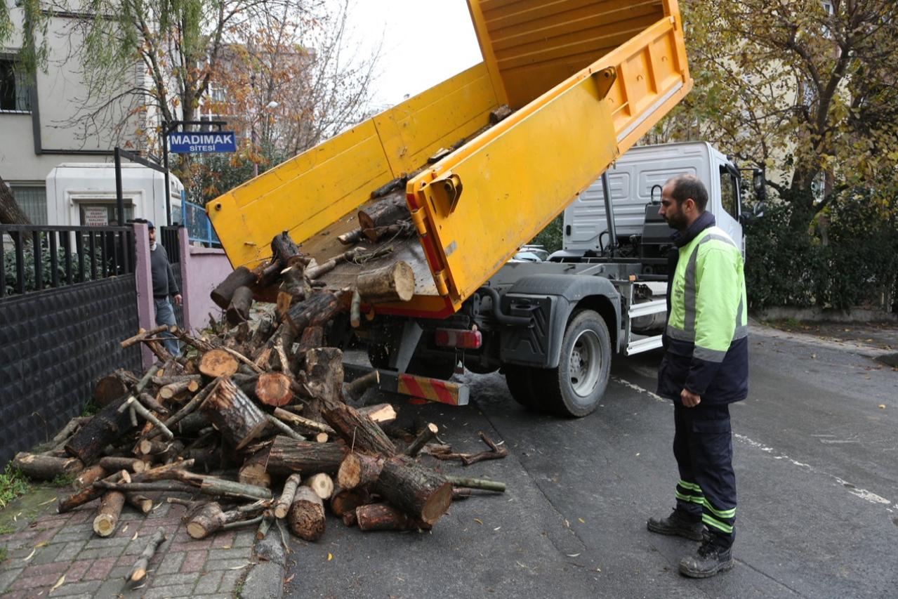 BUDANAN AĞAÇ DALLARI EVLERİ ISITIYOR