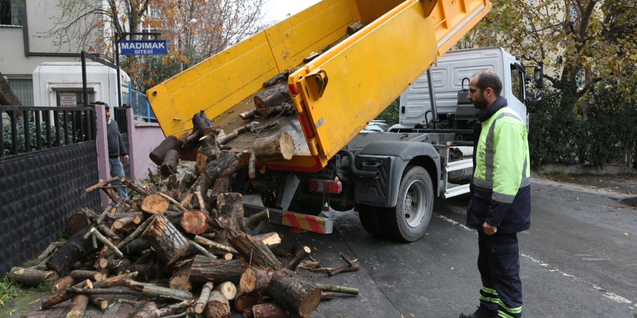 KÜÇÜKÇEKMECE’DE BUDANAN AĞAÇ DALLARI, EVLERİ ISITIYOR