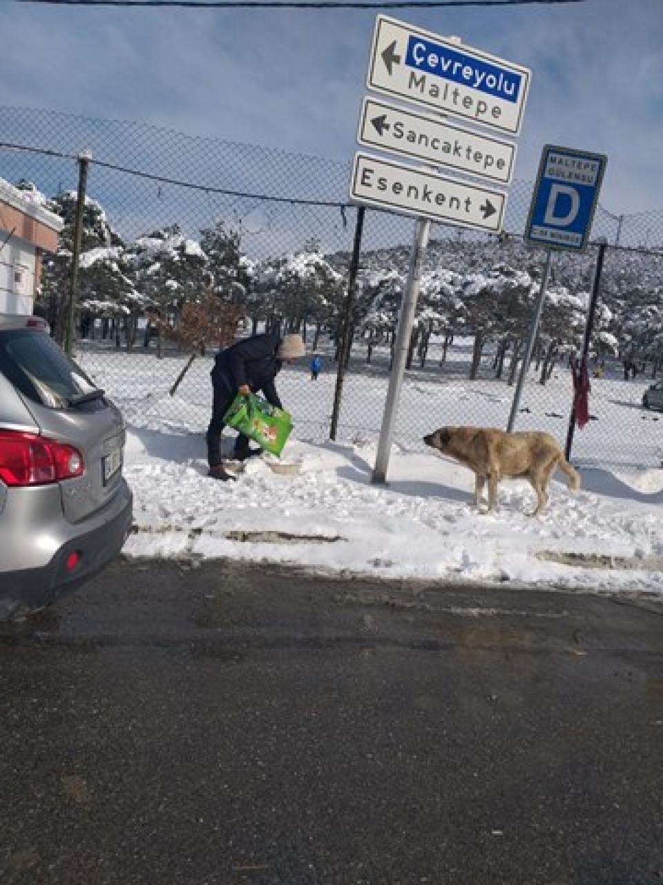 Sokaktaki can dostlarımızı unutmadık!