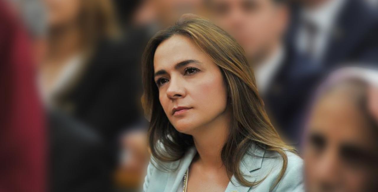 CHP GENEL BAŞKAN YARDIMCISI İLGEZDİ: GÜNLÜK 202 ÖLÜM MÜ NORMAL!