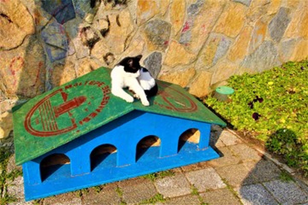 Patili dostlarımızı yeni evlerinde ziyaret ettik