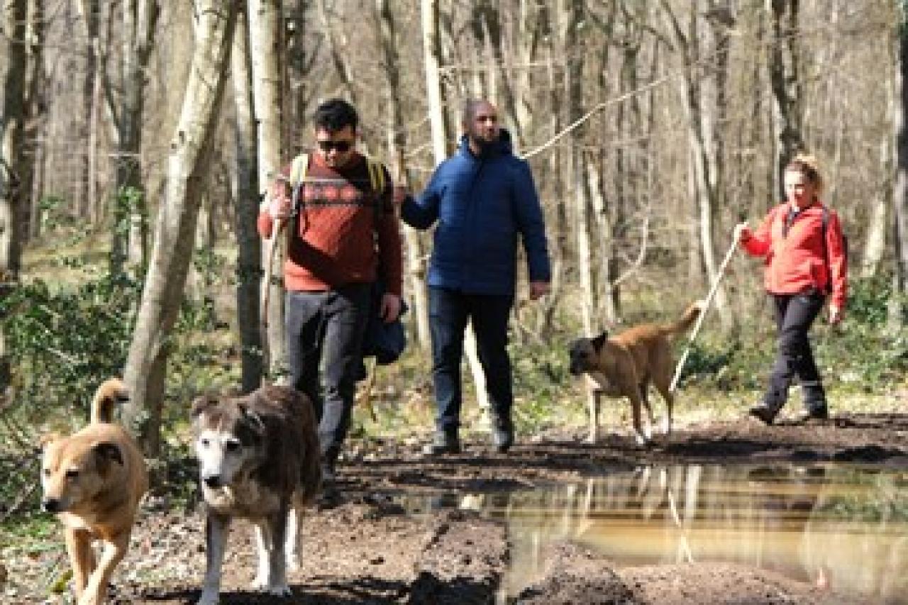 Maltepeliler tarihin ve doğanın tadını çıkardı