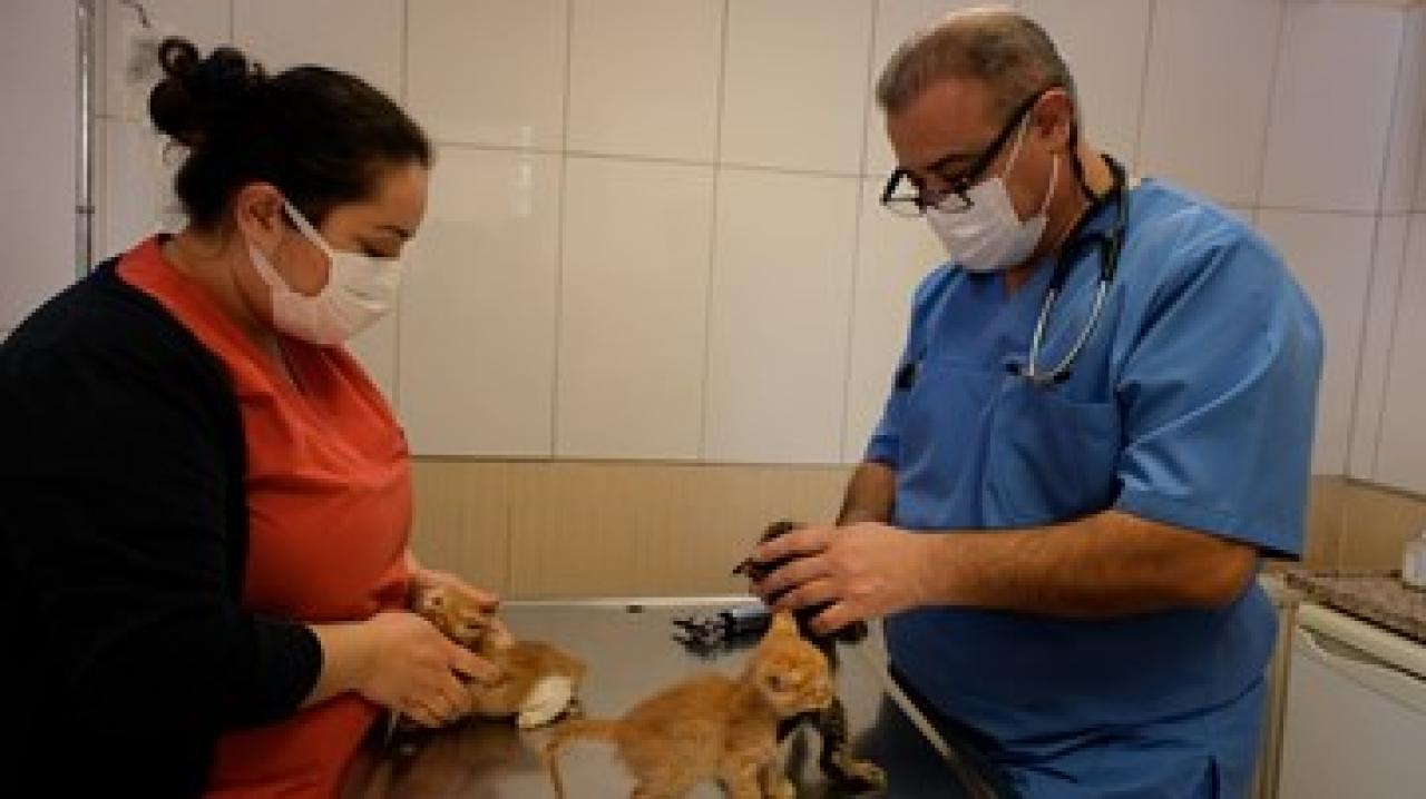 Can dostlarımızın sağlığı için çalışıyoruz