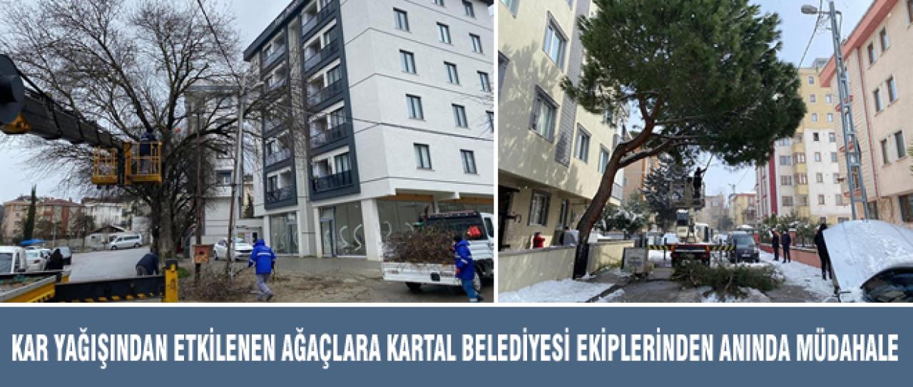 KAR YAĞIŞINDAN ETKİLENEN AĞAÇLARA KARTAL BELEDİYESİ EKİPLERİNDEN ANINDA MÜDAHALE