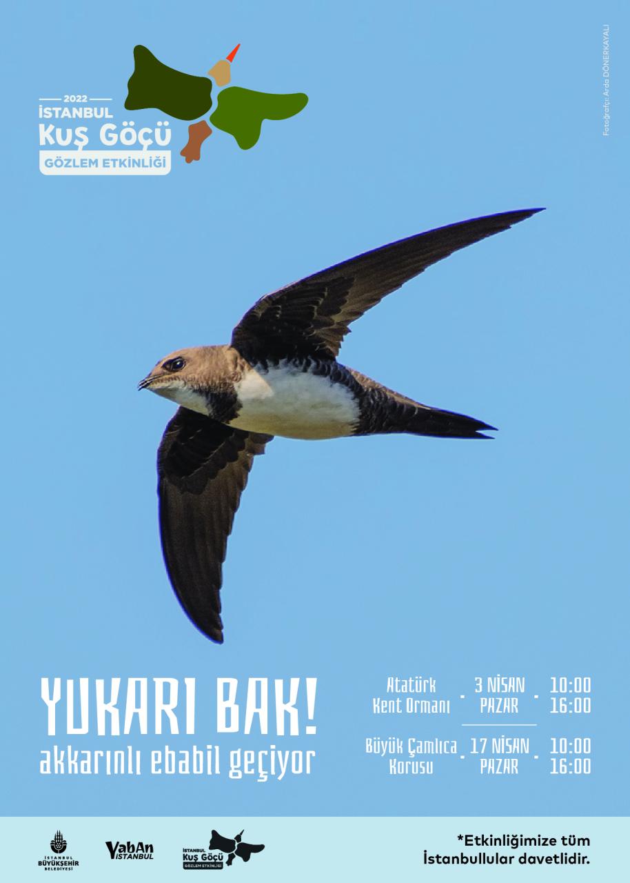 GÖÇMEN KUŞLAR AY BOYU İSTANBUL’DAN İZLENECEK