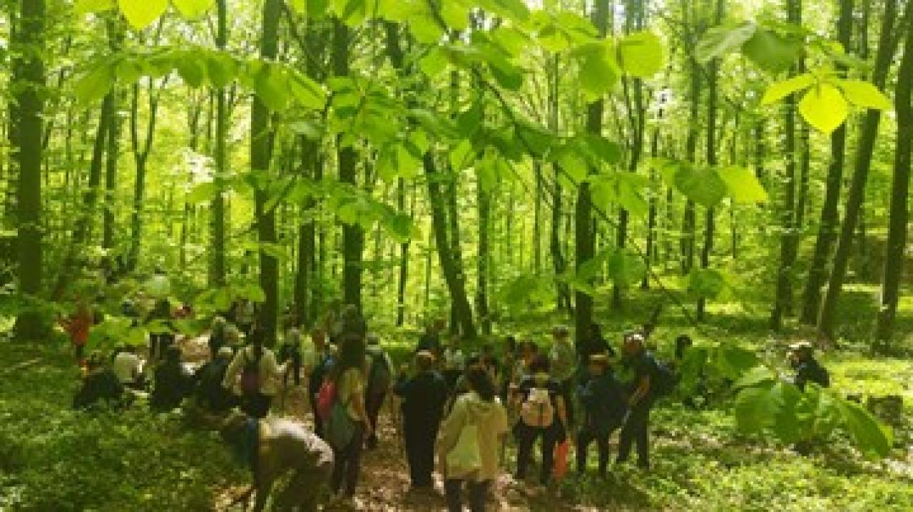 Belgrad Ormanı'nda renkli etkinlik