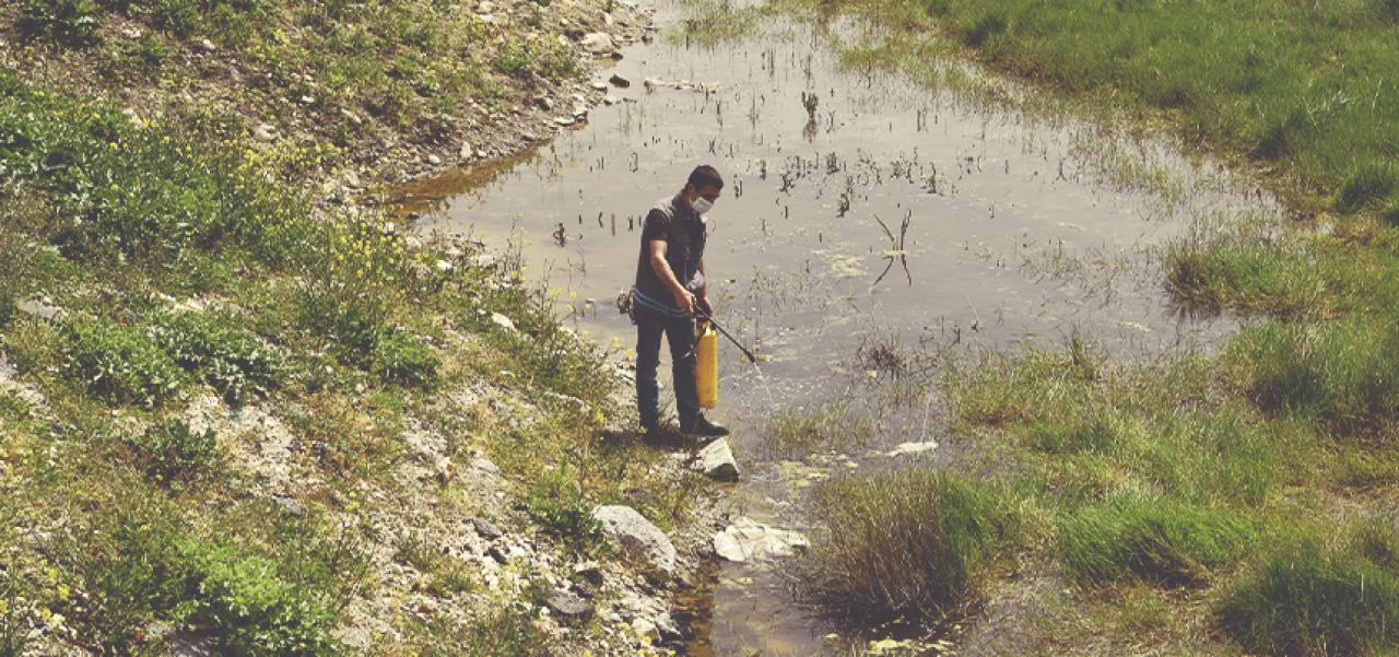 BEYLİKDÜZÜ’NDE LARVA İLE ETKİN MÜCADELE