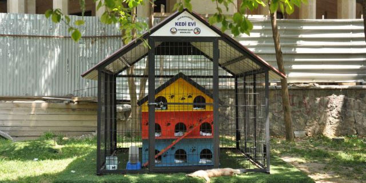 Avcılar Belediyesi’nden Kedi Evleriyle İlgili Karar