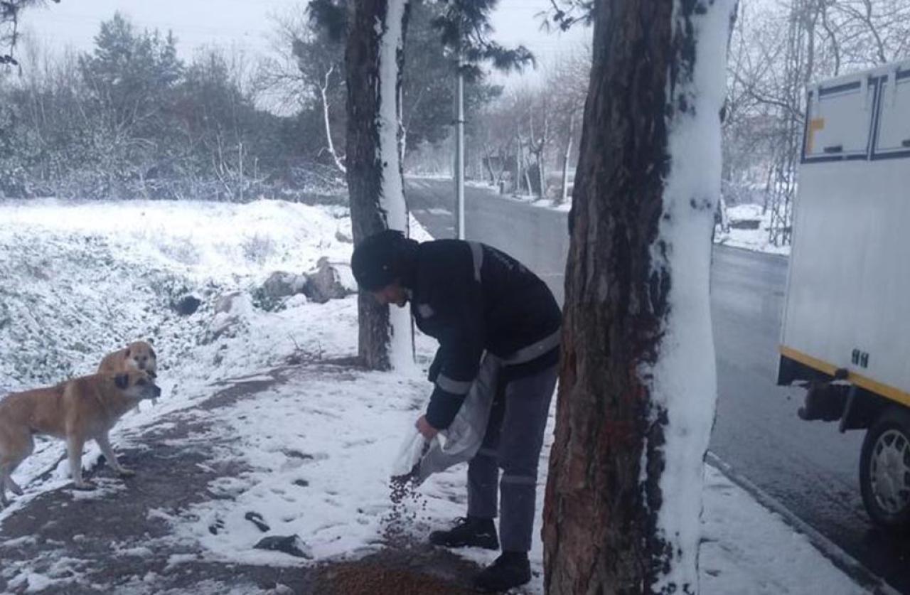 AVCILAR BELEDİYESİ KIŞ AYLARINDA MAMA DESTEĞİNİ ARTIRDI