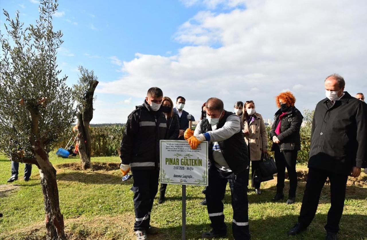 ÖLDÜRÜLEN KADINLAR, AVCILAR’DAKİ ZEYTİN AĞAÇLARINDA YAŞAYACAK