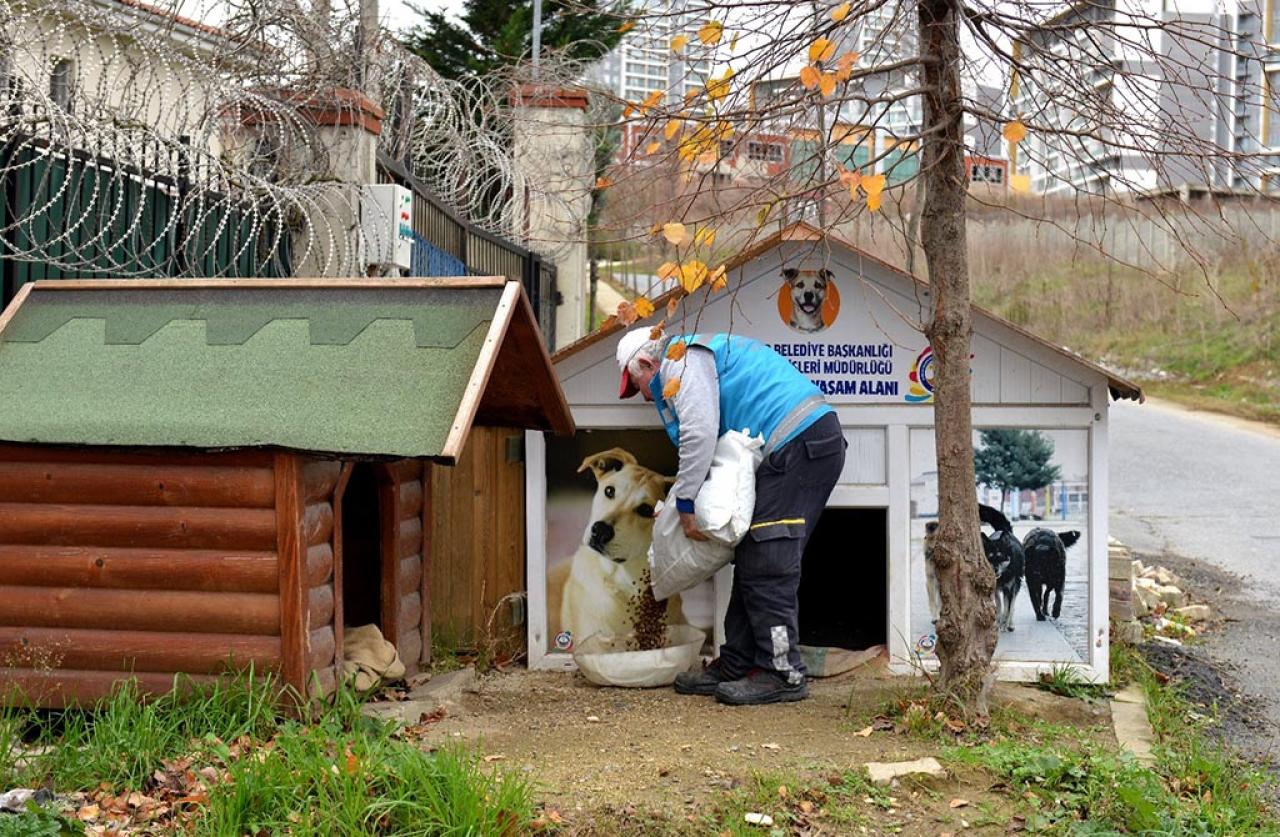 AVCILAR BELEDİYESİ ZOR GÜNLERDE CAN DOSTLARININ YANINDA