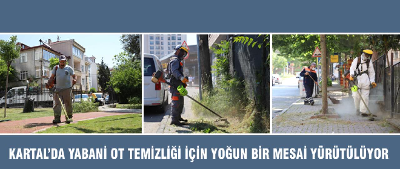 KARTAL’DA YABANİ OT TEMİZLİĞİ İÇİN YOĞUN BİR MESAİ YÜRÜTÜLÜYOR
