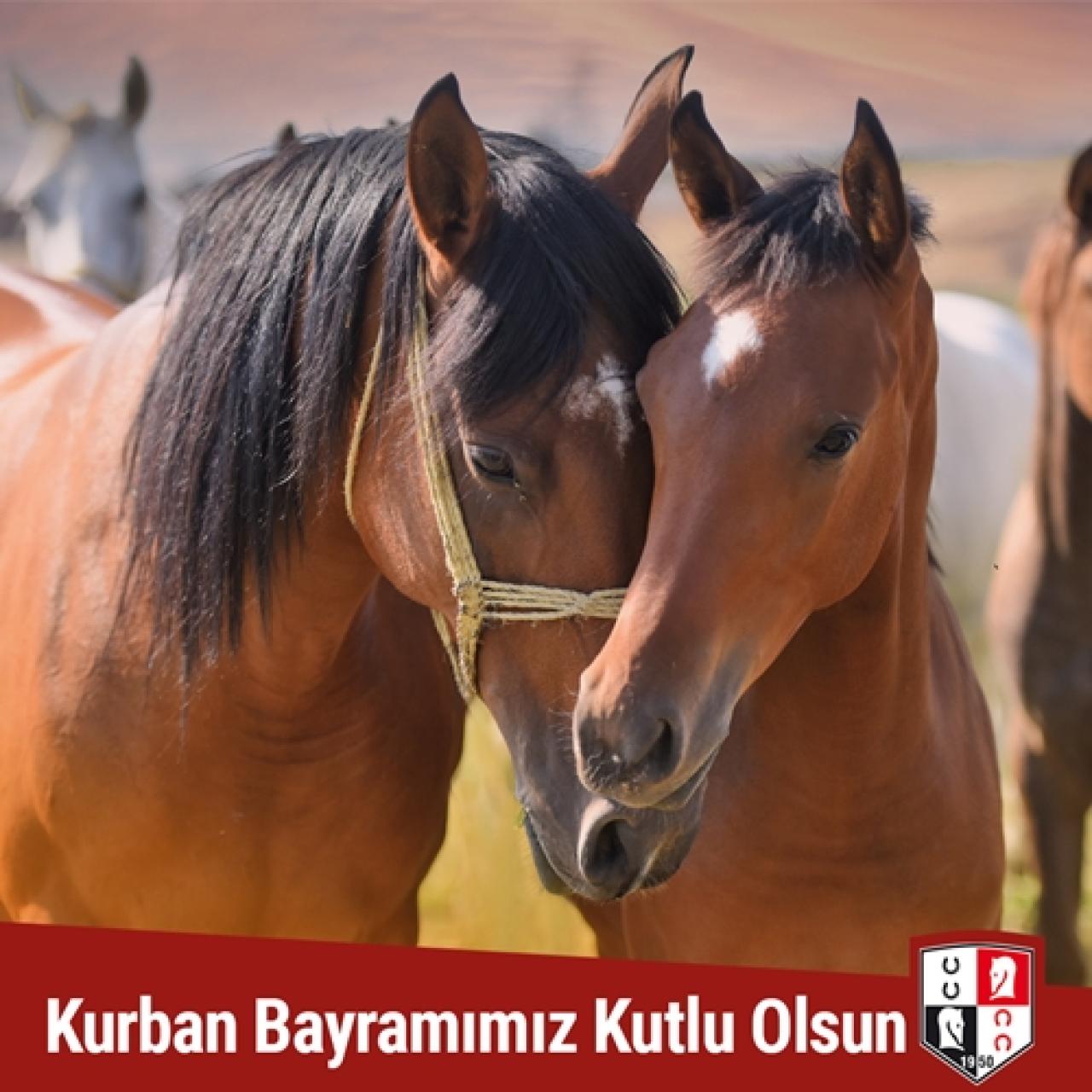 Kurban Bayramımız kutlu olsun