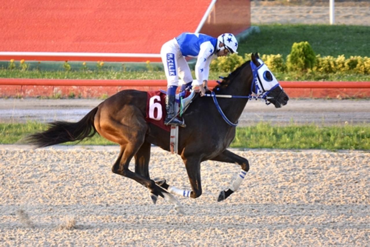Babür Carioğlu Koşusu’nu King Batur kazandı