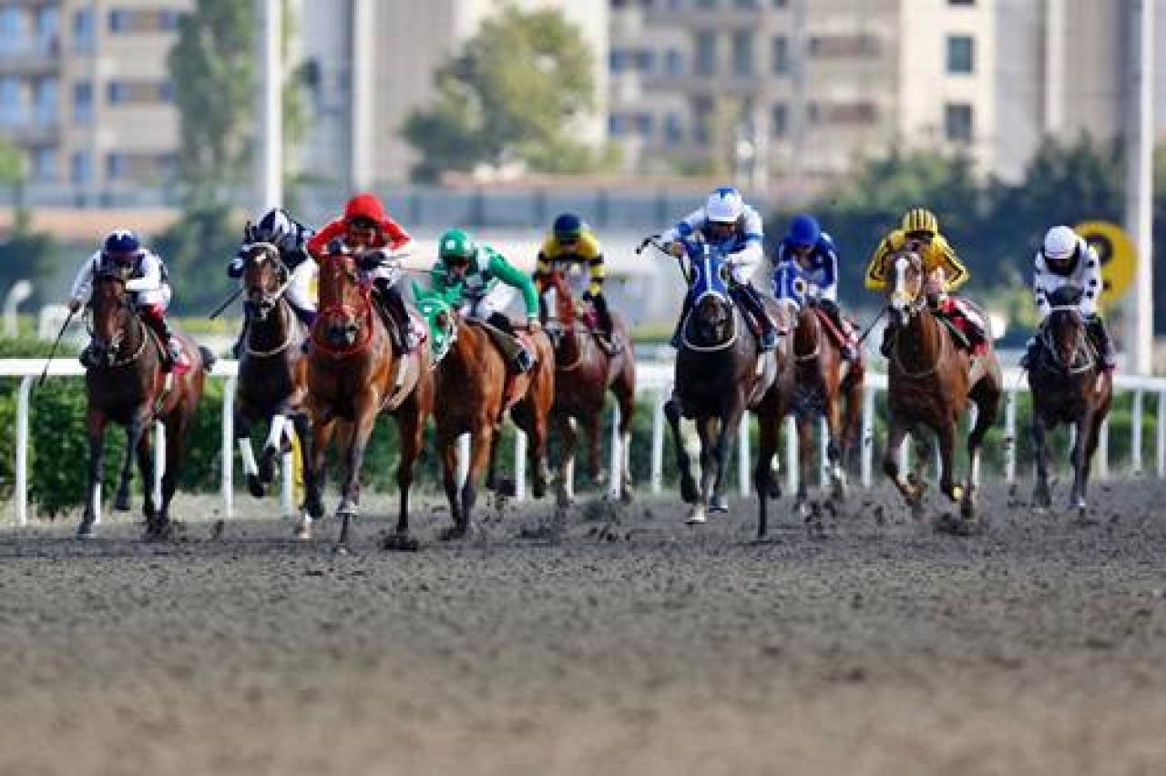 Nuri Dürüst Koşusu'nun galibi Fluttershy oldu