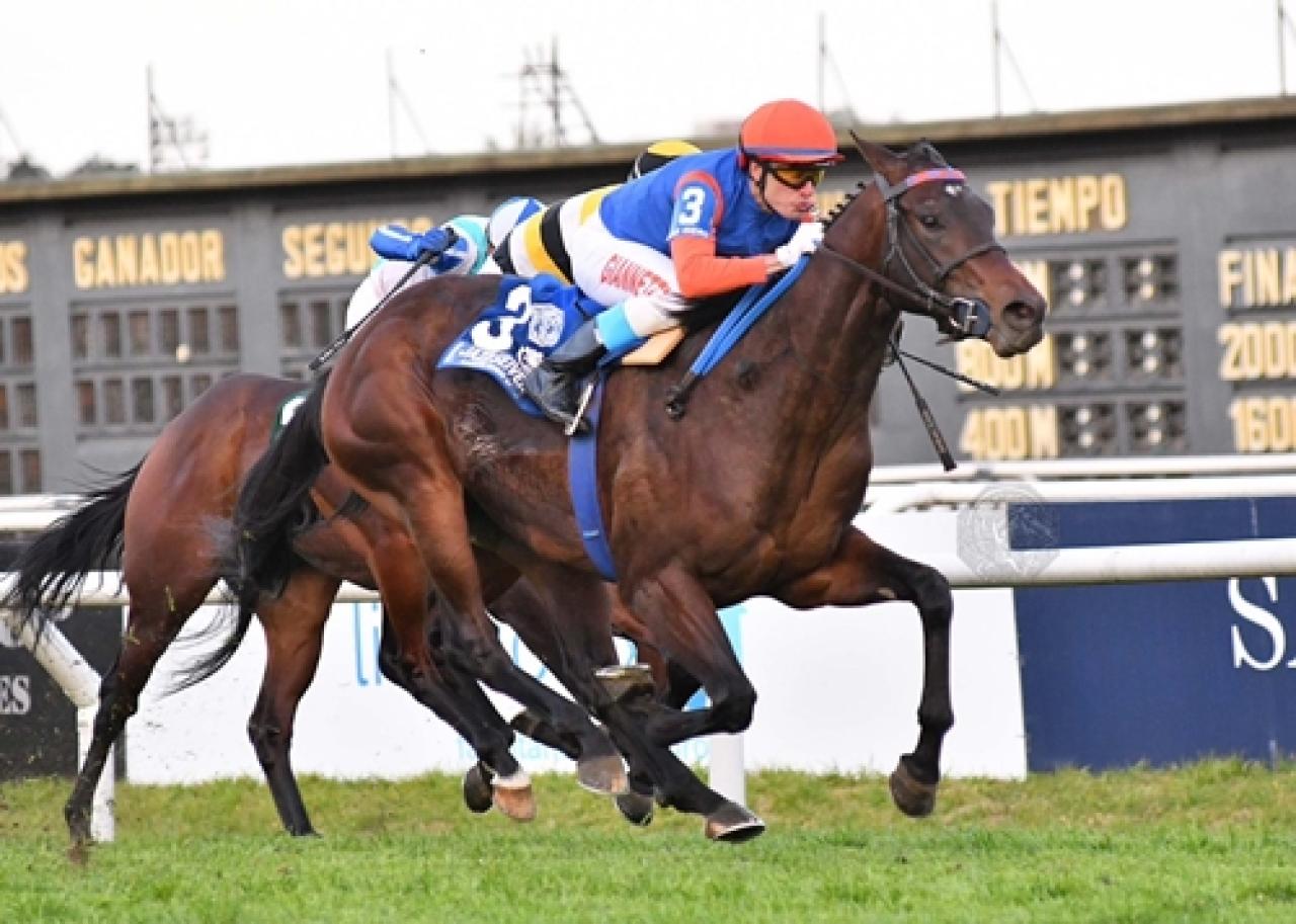 Super Saver temsilcisi Jazz Seiver’dan G1 koşu galibiyeti