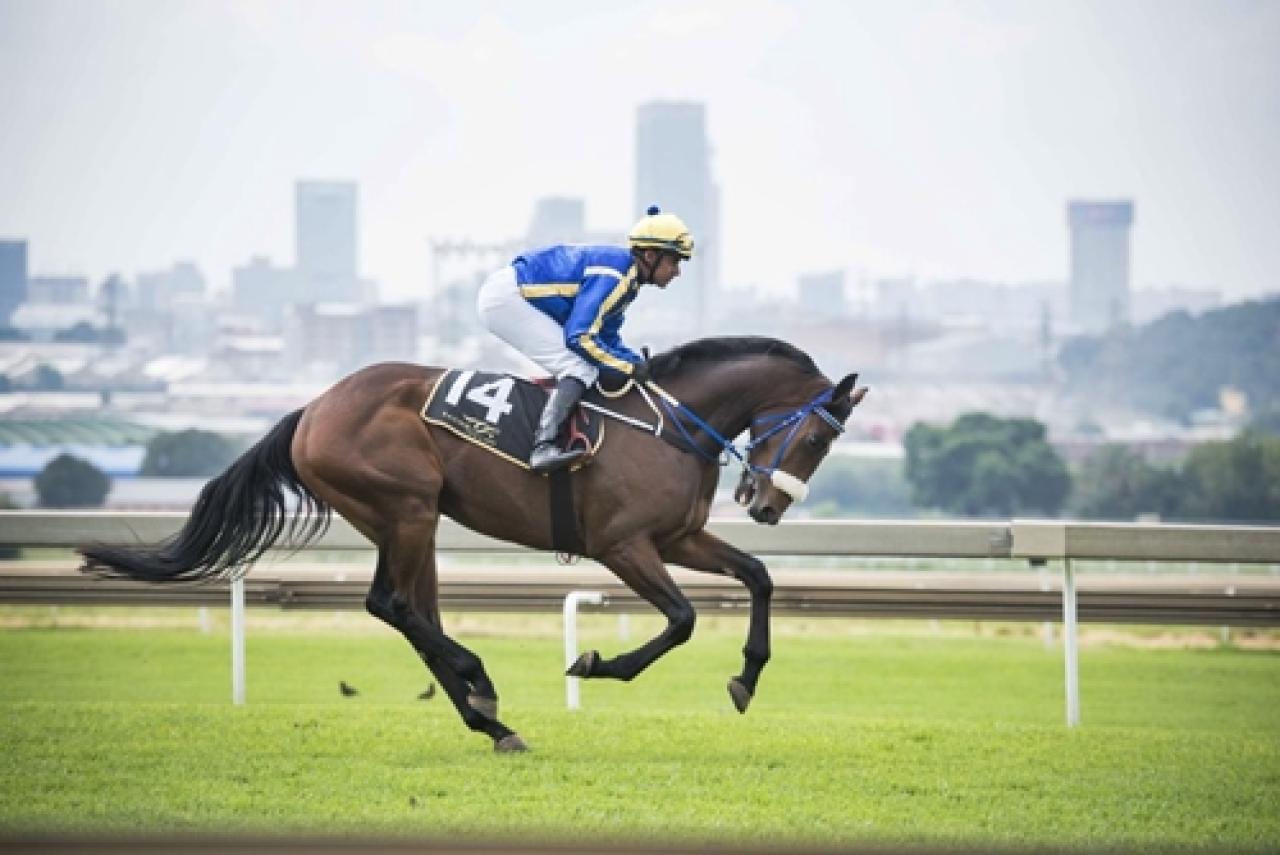 16 Ağustos Salı Turffontein yarış programı ve erken bahis oranları belli oldu