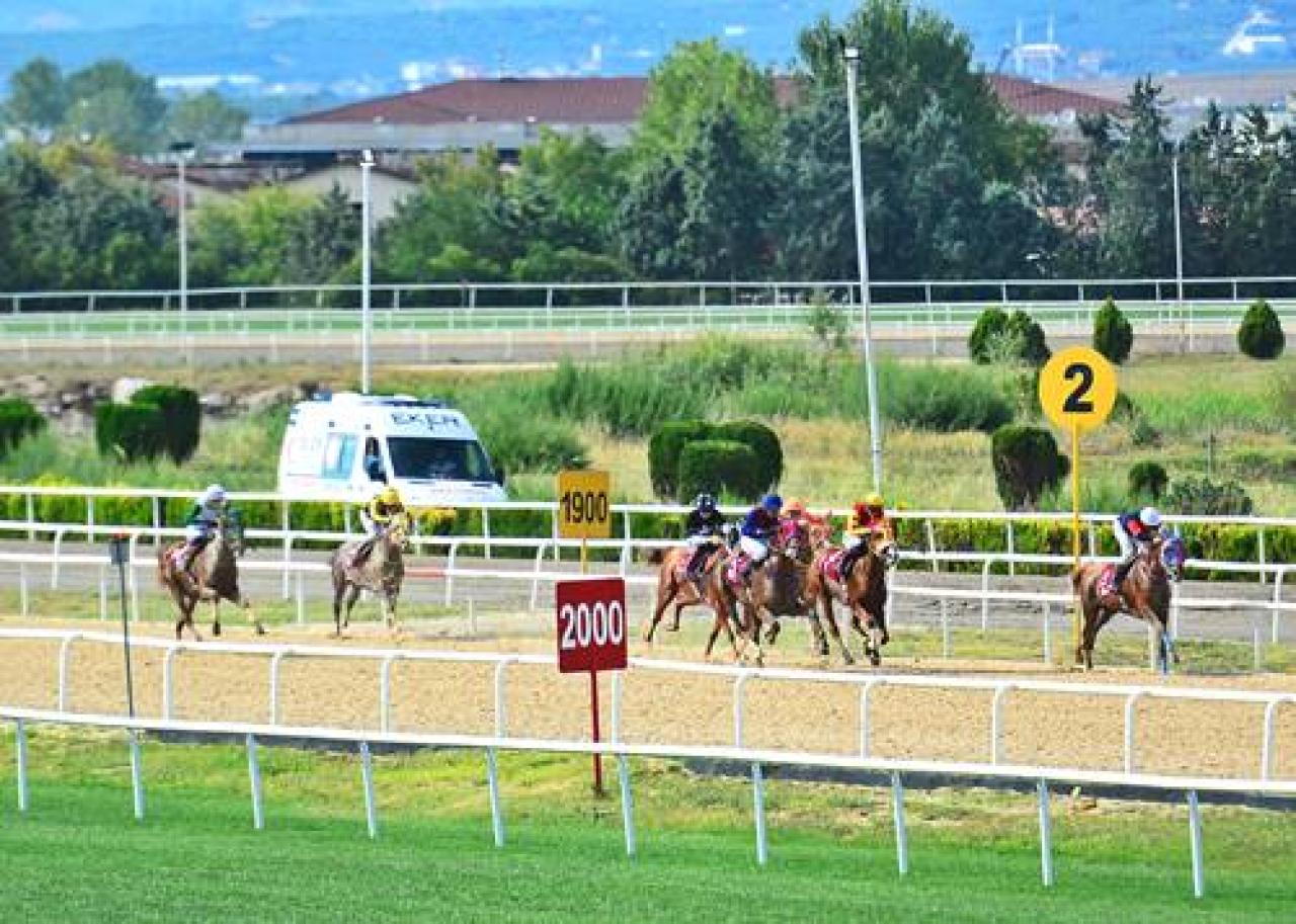 Muzaffer Can Koşusu'nu Canım Çıtır kazandı