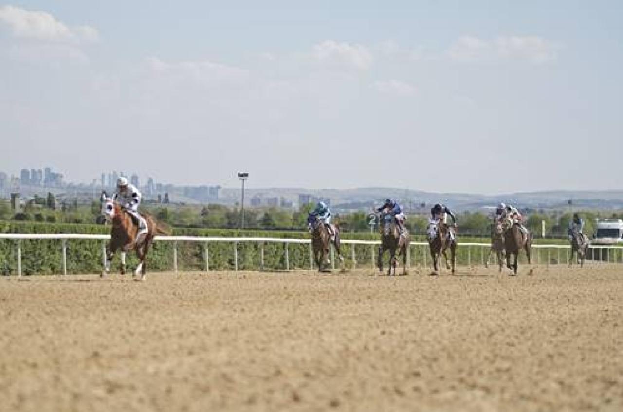 Mehmet Ali Kiper Koşusu'nda Akdağ Fırtınası beyaz bayrak ayna yaptı