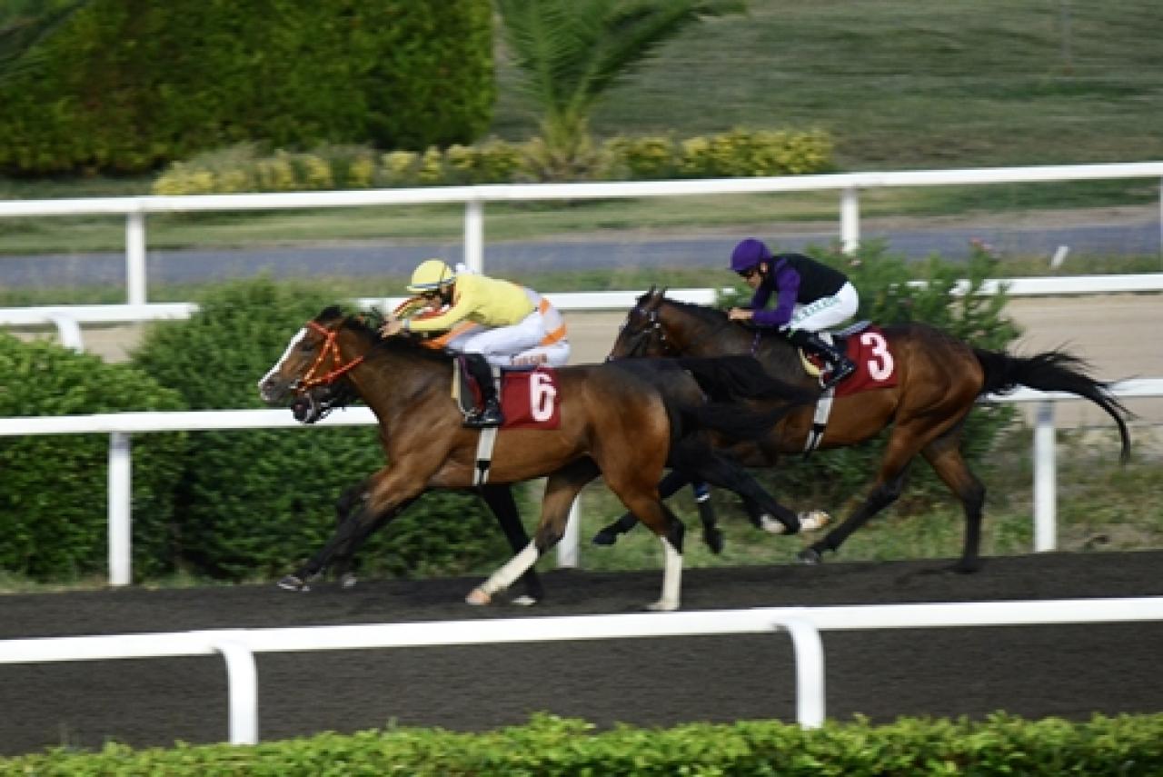 Dr. Özcan Kızılkaya Koşusu’nda galibiyete ulaşan Bonny Bomb oldu