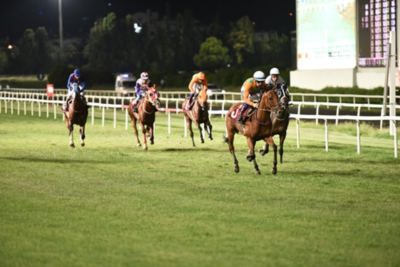 Berat Gökçe Koşusu'nu Utkunun Kızı kazandı