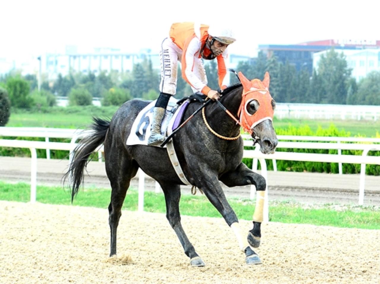 Bursa’daki A3 koşuyu General Briella kazandı