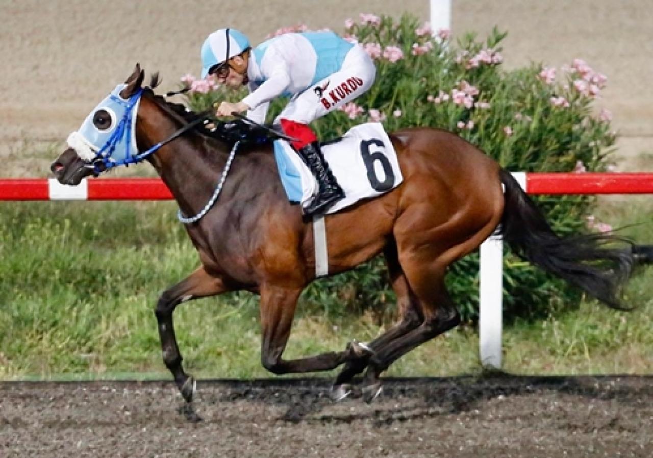 Prof. Dr. Kenan Binak Koşusu'nu Special Of Horses kazandı