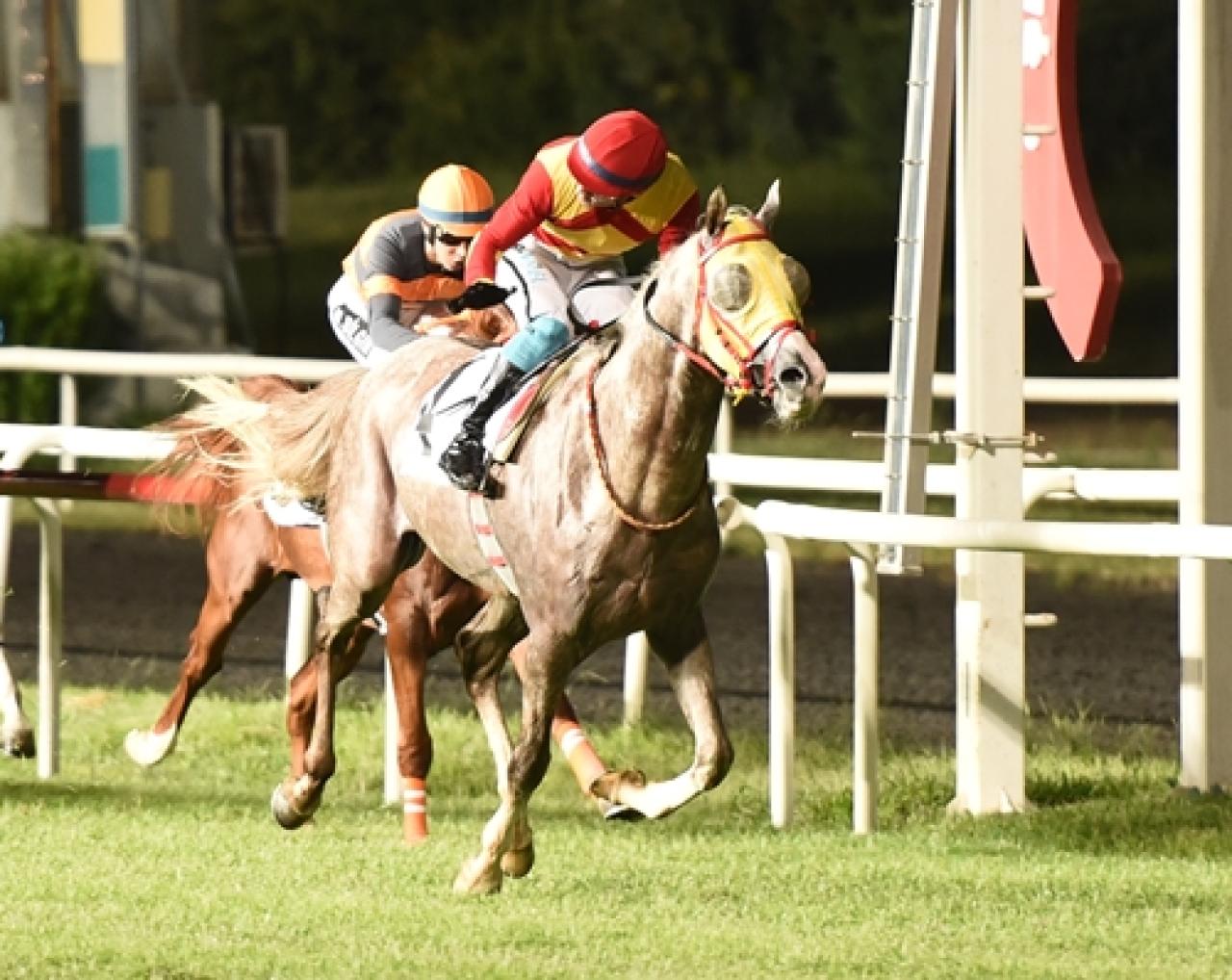 Ethem Menderes Koşusu’nda galibiyete ulaşan Kıyıcı oldu