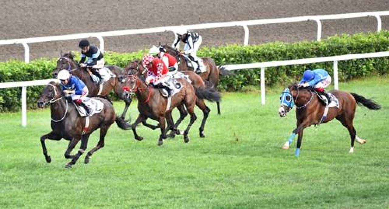 Topkapı Koşusu'nda galibiyete Egregious Rock uzandı
