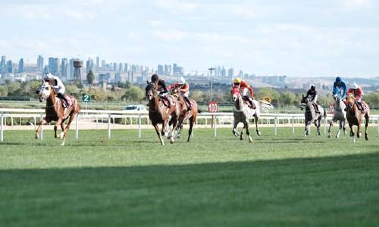 Türk Veteriner Hekimleri Birliği Koşusu'nu Yenersultan kazandı