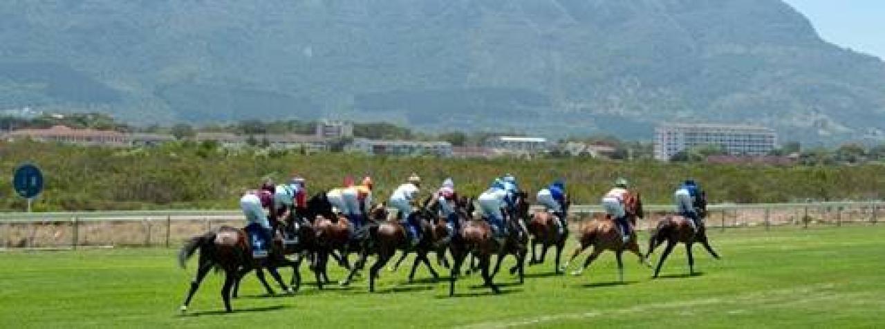 7 Eylül Çarşamba Güney Afrika Durbanville yarış programı ve erken bahis oranları belli oldu