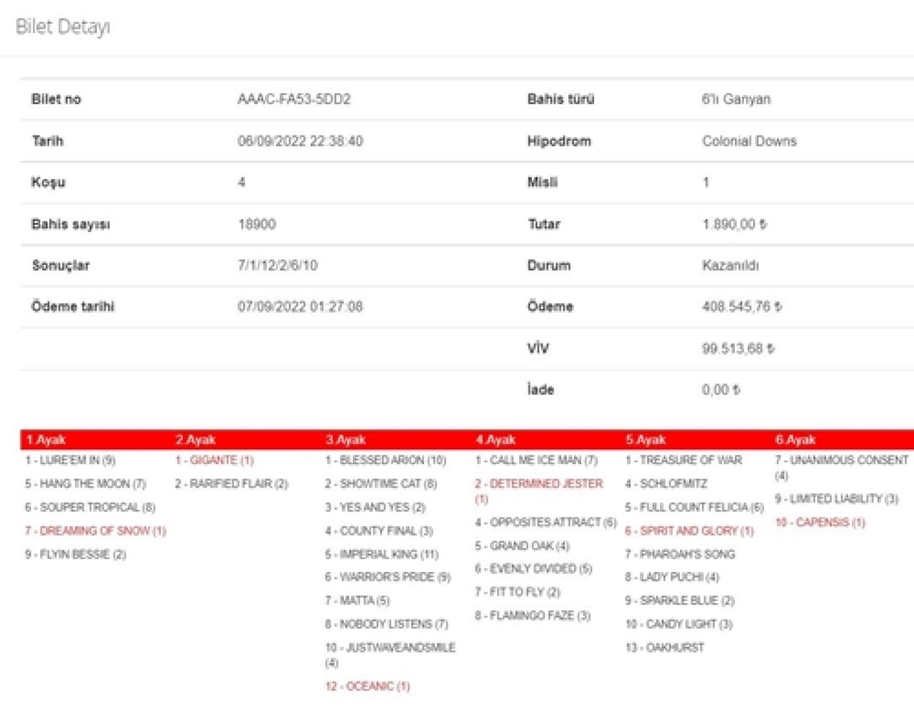 ABD Colonial Downs’ta 2. 6’lı Ganyan’ı 1 kişi bildi