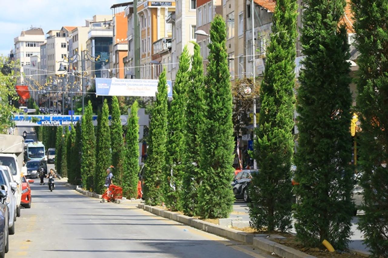 SULTAN SELİM MAHALLESİ YEŞİLLE BULUŞTU