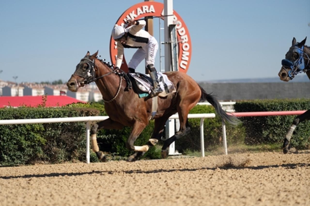 Yıldırım Bayezid Koşusu’nda galibiyete ulaşan Black Metal oldu
