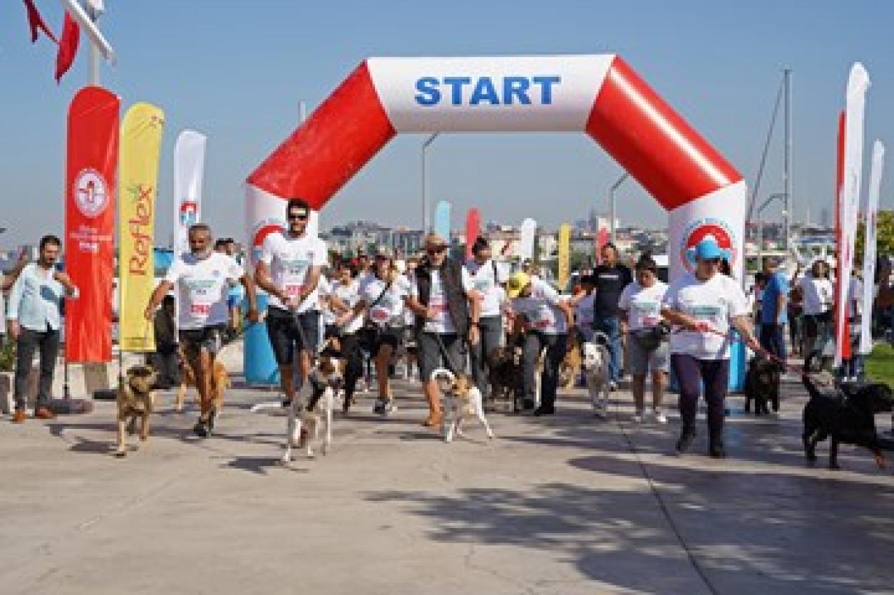 Maltepe sahilinde ‘patili’ bir buluşma