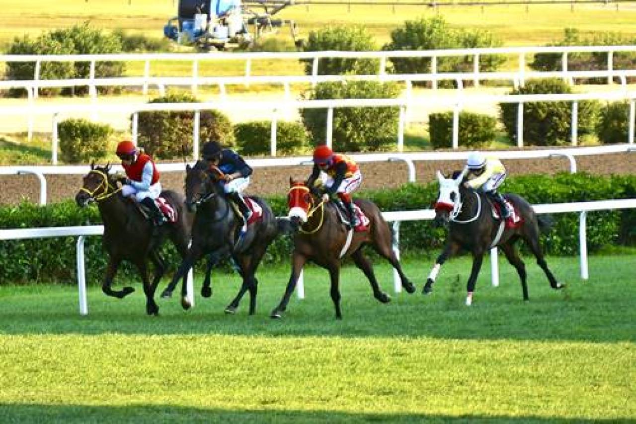 Joe Clarke Koşusu'nu Dolya Vorovskaya kazandı