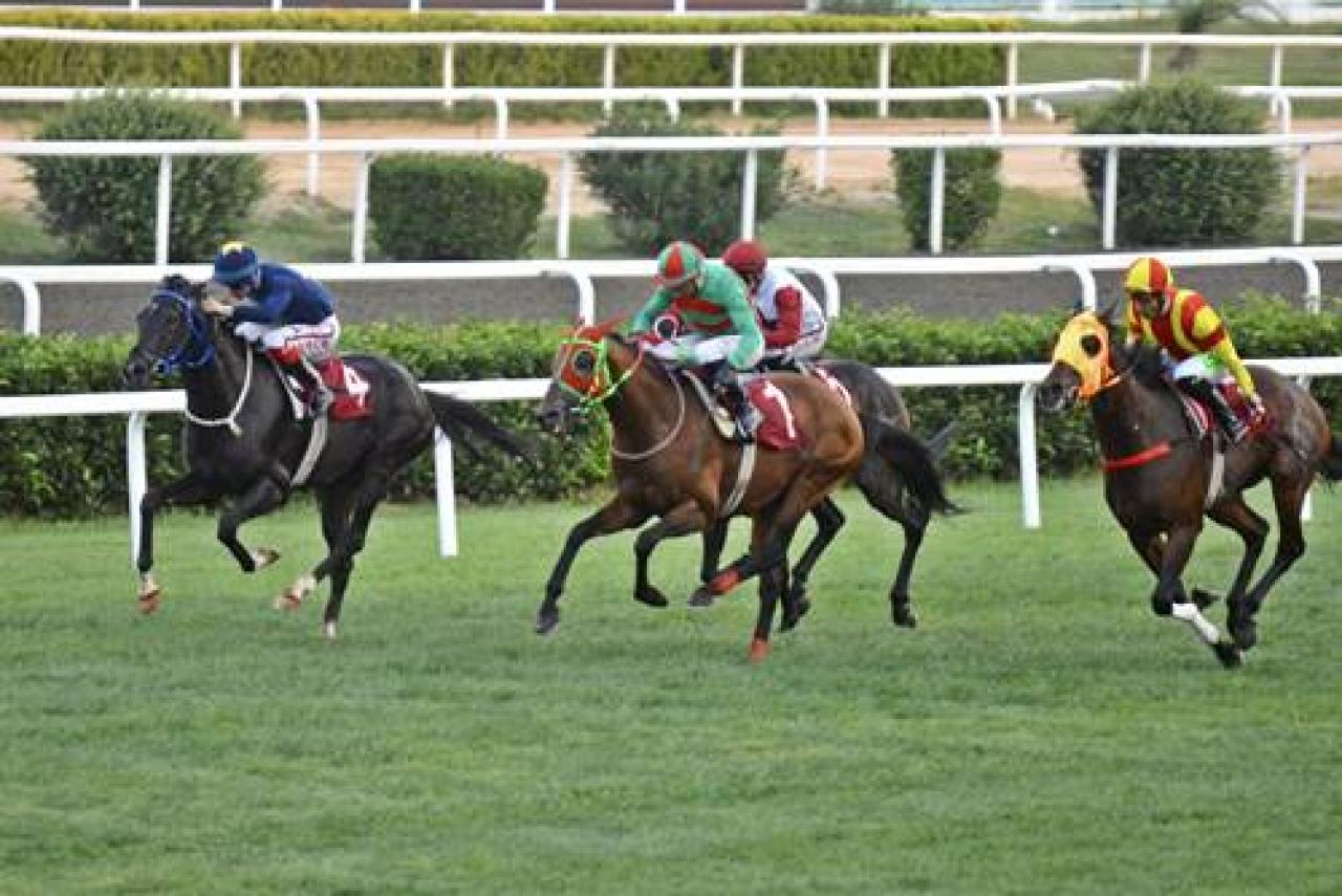 M. Kaya Erkkul Koşusu'nun galibi Zafer Ateşi oldu