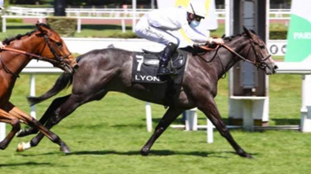 13 Eylül Salı Fransa Lyon Parilly yarış programı ve erken bahis oranları belli oldu