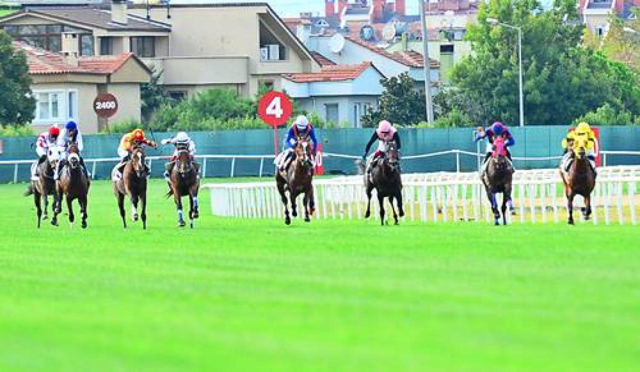 Bursa'daki A3 koşuyu Lion Francesco kazandı