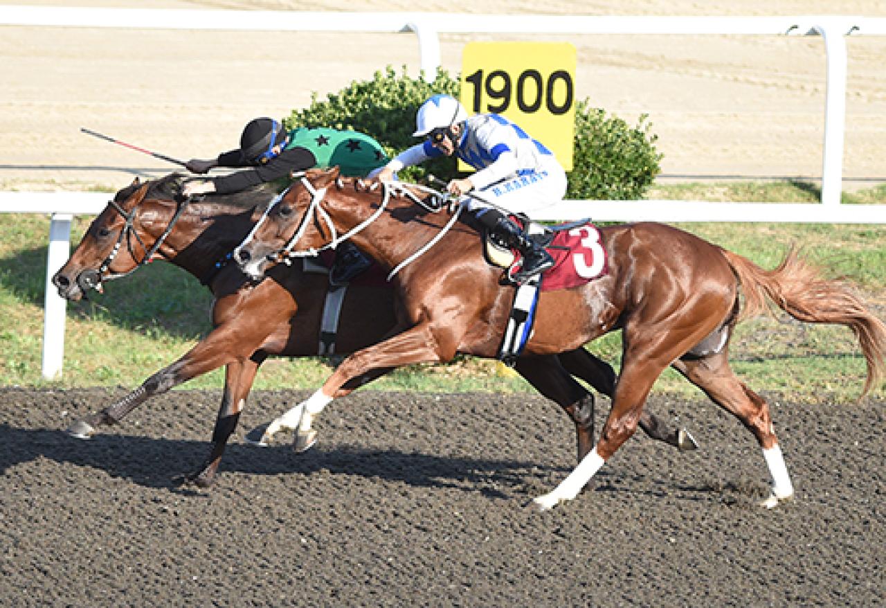 Galip Ekenler Koşusu'nu Bosfor kazandı
