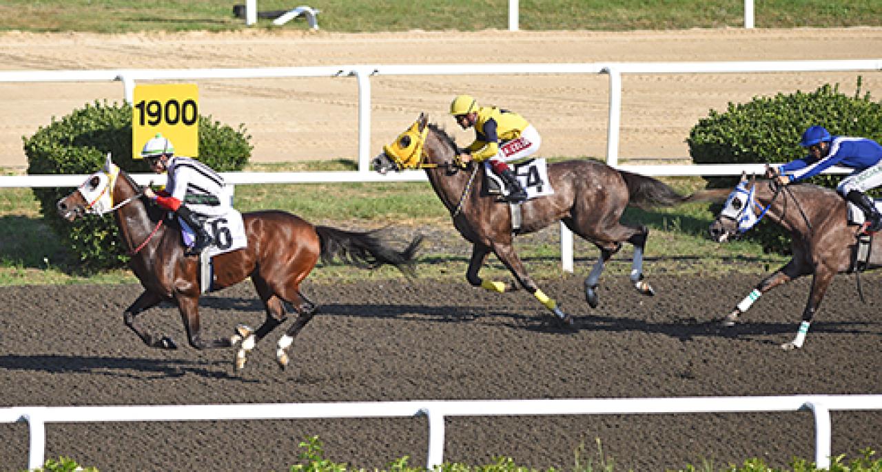 Akbatur Koşusu'nda galibiyete Katıoğlu uzandı