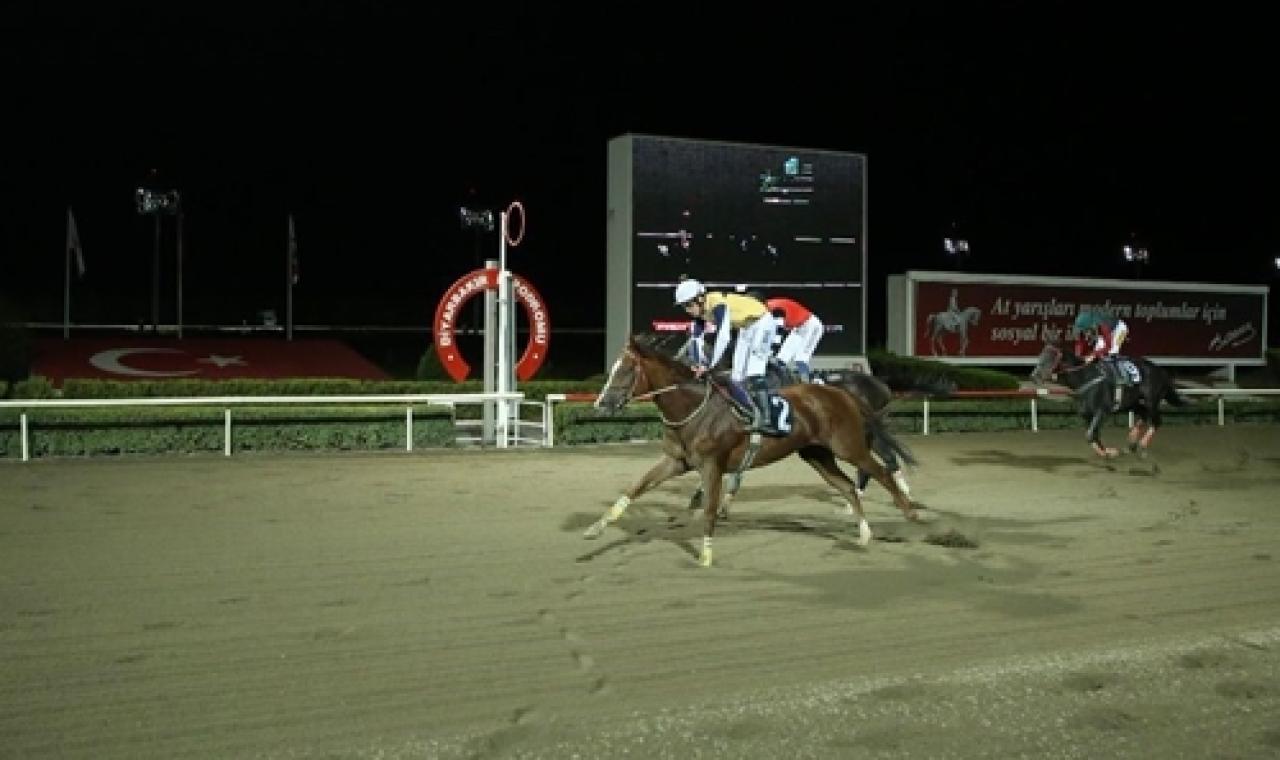 Diyarbakır Orman Fidanlık Müdürlüğü Koşusu'nu Jiminy Cricket kazandı