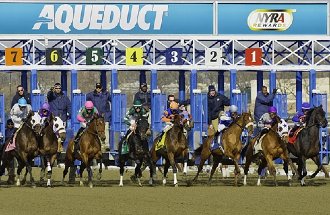 16 Eylül Cuma ABD Belmont at the Big A (Aqueduct) programı ve erken bahis oranları belli oldu