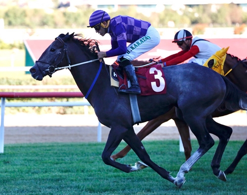 ARNAVUTKÖY YAŞAM MERKEZİ’NE KAVUŞTU