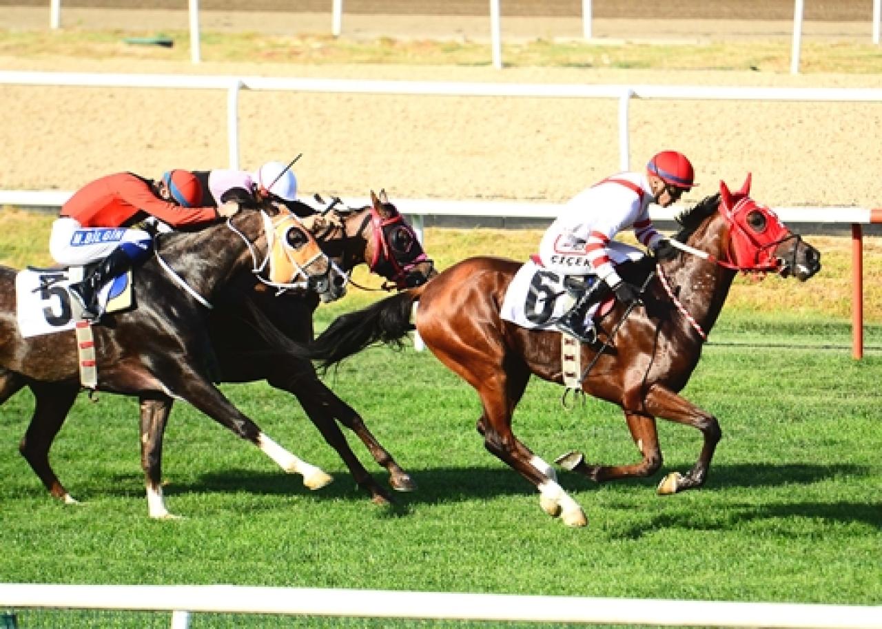 Bursa'da düzenlenen G3 koşuyu Yürekstar kazandı