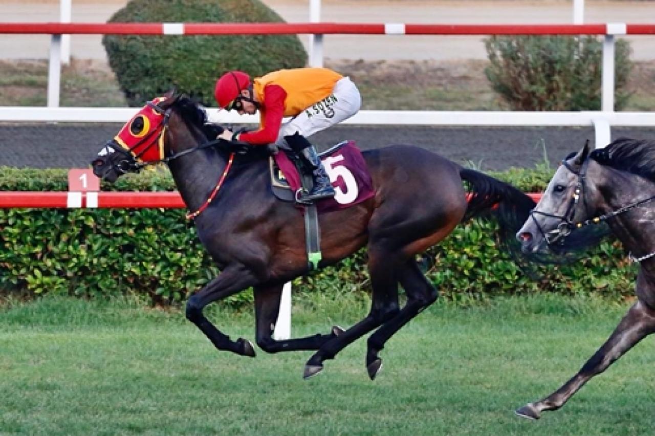 Merhum Asli Üyelerimiz Akgün Midillili ve Bahadır Gödek'i saygıyla anıyoruz