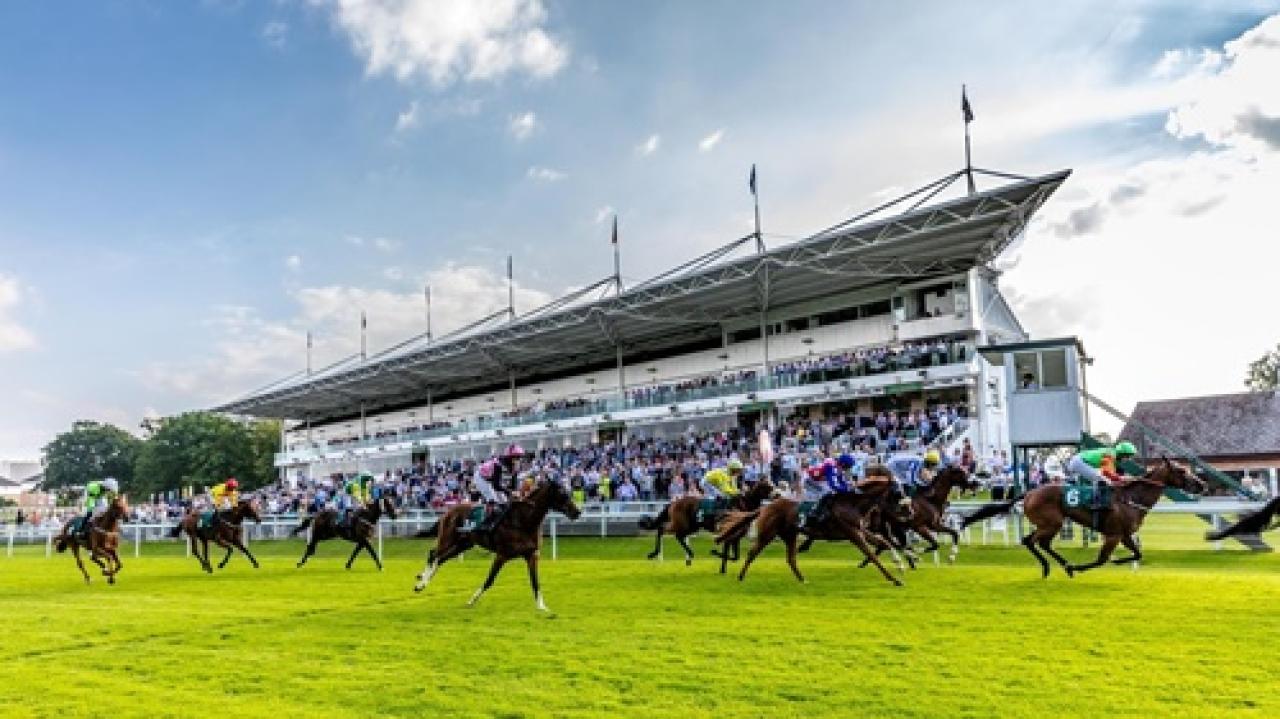 18 Eylül Pazar Hamilton Park yarış programı ve erken bahis oranları belli oldu