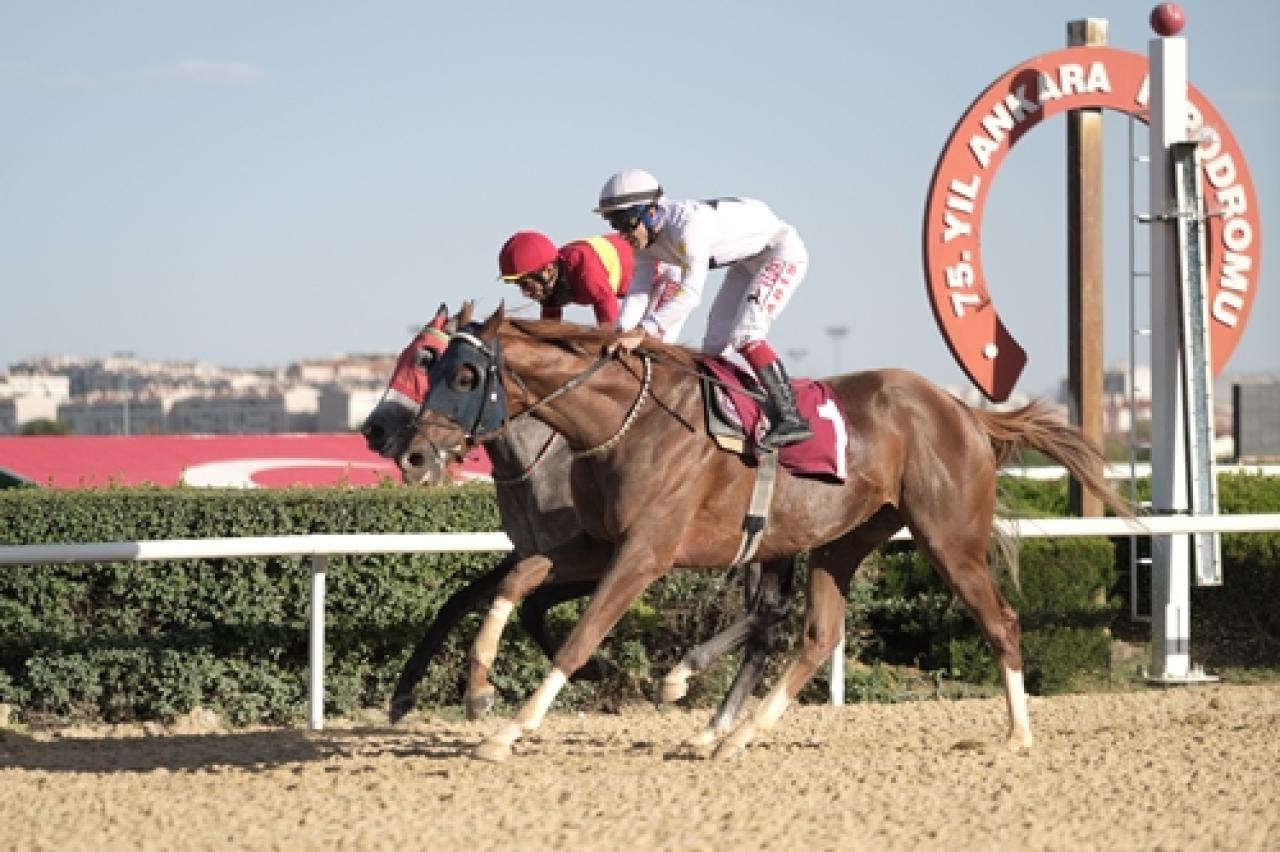 Türkiye Halk Oyunları Koşusu’nu Gold Design kazandı