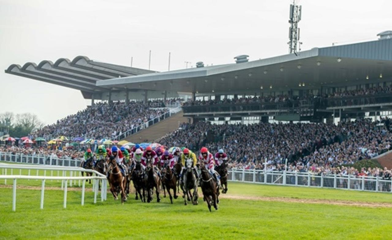 19 Eylül Pazartesi İrlanda Fairyhouse yarış programı ve erken bahis oranları belli oldu