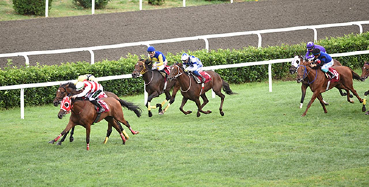 Akgün Midillili Koşusu'nu Flying Nun kazandı